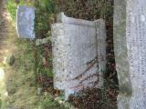 image of grave number 528360